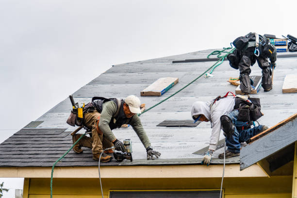 Professional Flat Roof Repair technician working in Humansville, MO